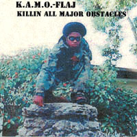 K.A.M.O. (Killing All Major Obsticles)