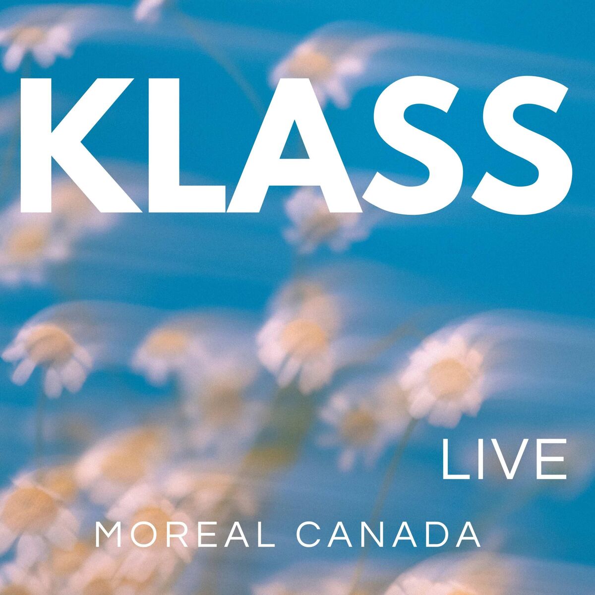 Live Montréal Canada